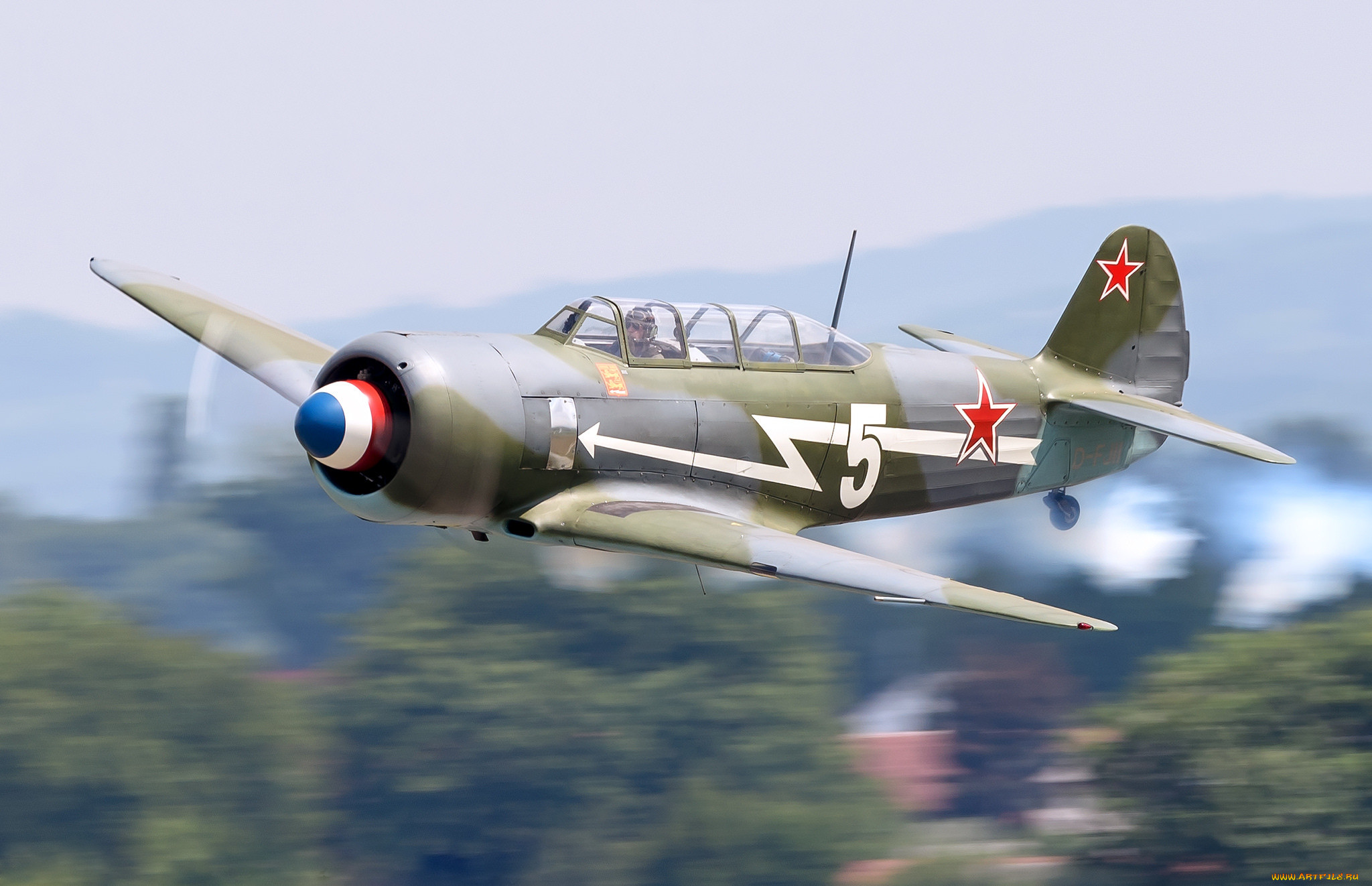 yakovlev yak-11 d-fjii, ,  , 